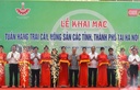 Mời tham gia Tuần hàng trái cây, nông sản các tỉnh, thành phố tại Hà Nội năm 2021
